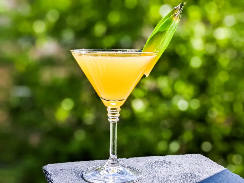Yellow bird cocktail in a martini glass