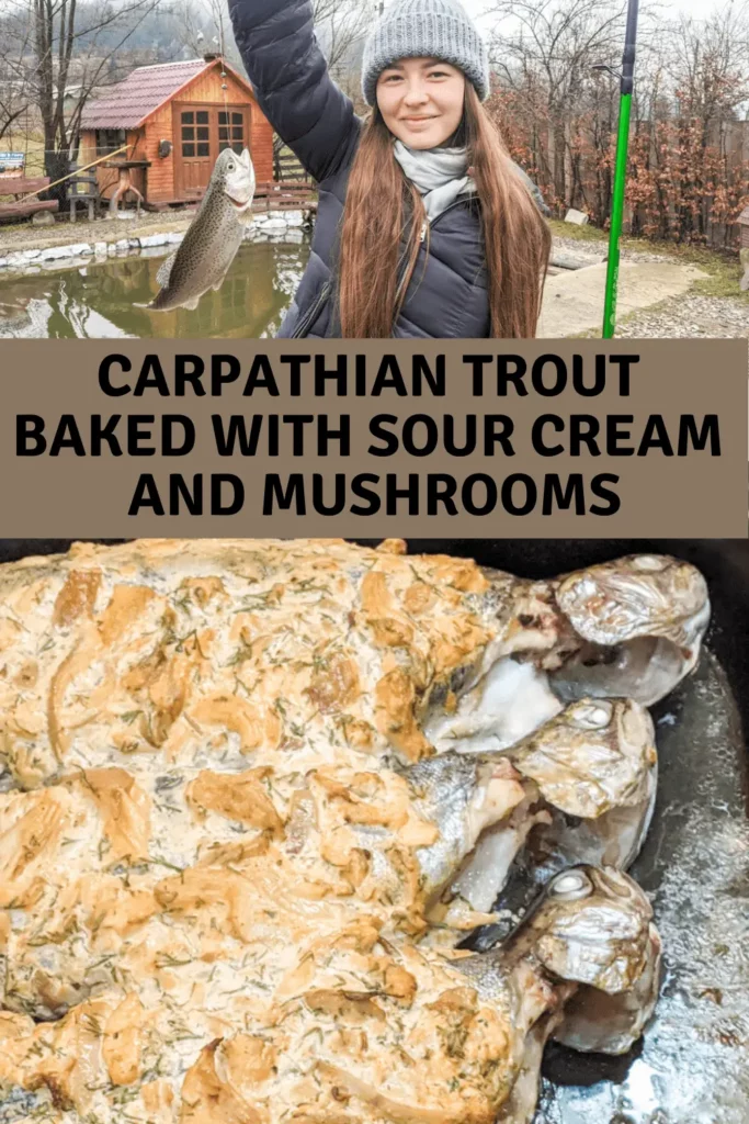 Carpathian Baked Trout Under Sour Cream And Mushrooms pinterest pin