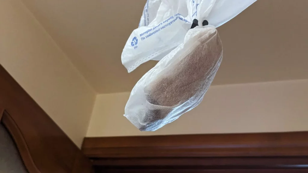 hanging a duck breast from the ceiling in a breathable bag